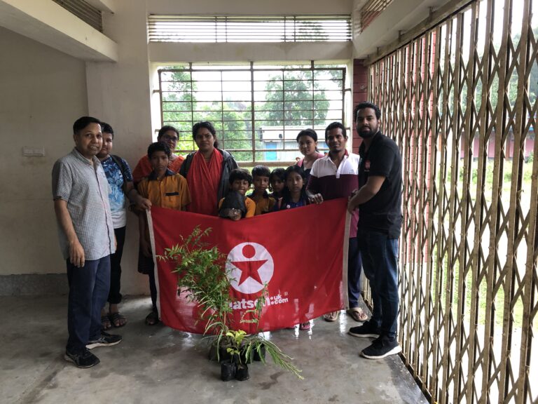 Tree Plantation